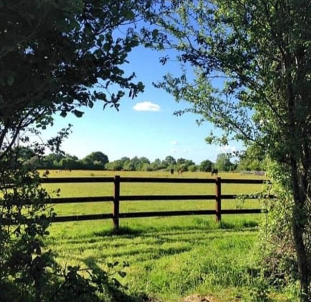 B&B Haras De La Cour Fleury Saint-Michel-de-Livet Екстериор снимка