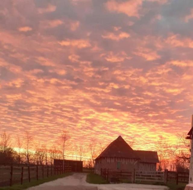 B&B Haras De La Cour Fleury Saint-Michel-de-Livet Екстериор снимка