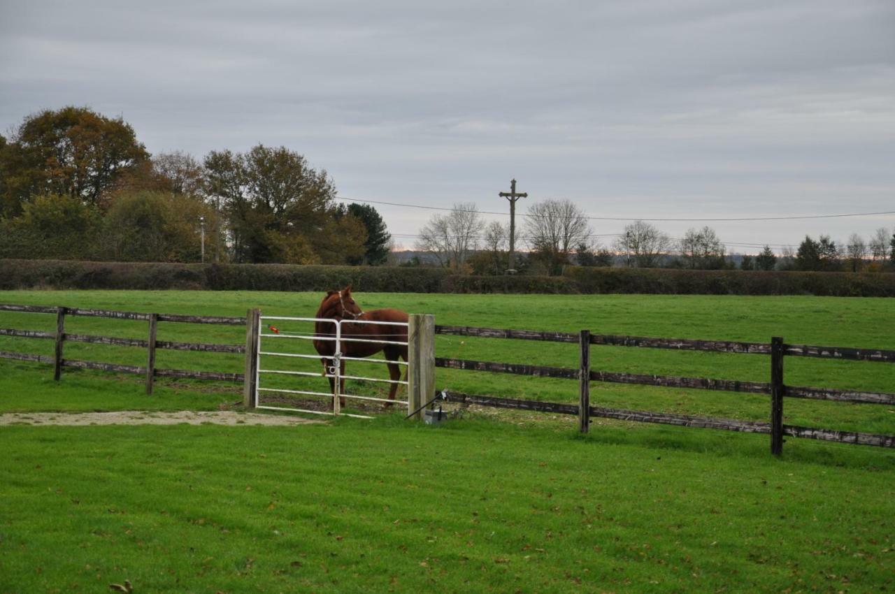 B&B Haras De La Cour Fleury Saint-Michel-de-Livet Екстериор снимка