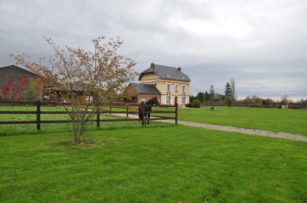 B&B Haras De La Cour Fleury Saint-Michel-de-Livet Екстериор снимка