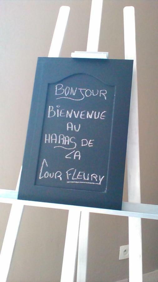 B&B Haras De La Cour Fleury Saint-Michel-de-Livet Екстериор снимка