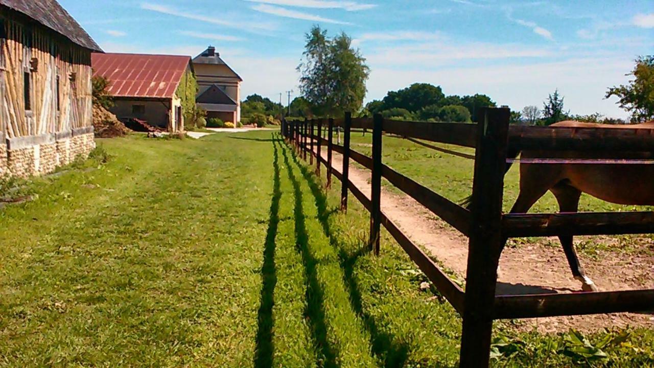 B&B Haras De La Cour Fleury Saint-Michel-de-Livet Екстериор снимка